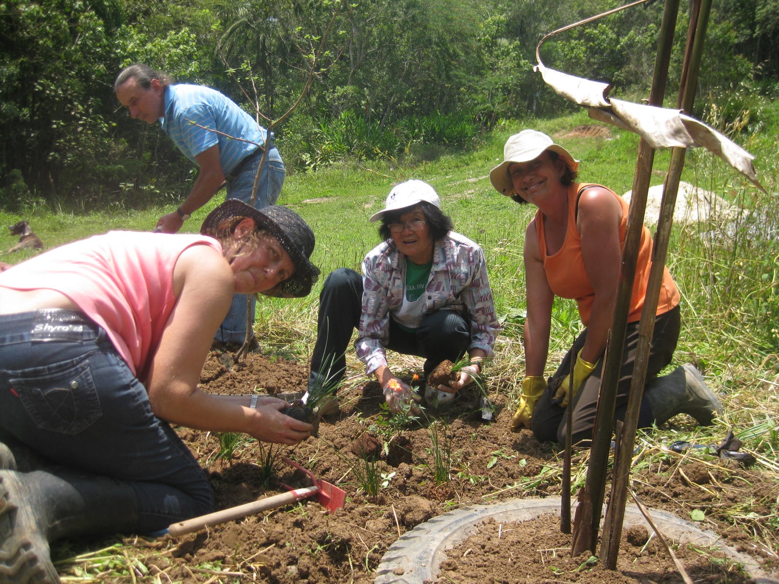 implantação do pasto apícola no parceiro Sitio Dourado.JPG